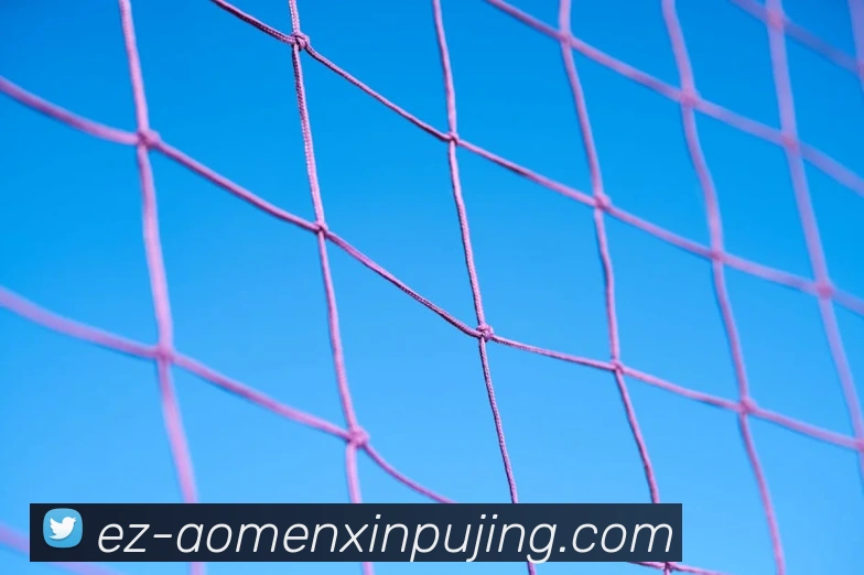 澳门新葡京娱乐发展历程